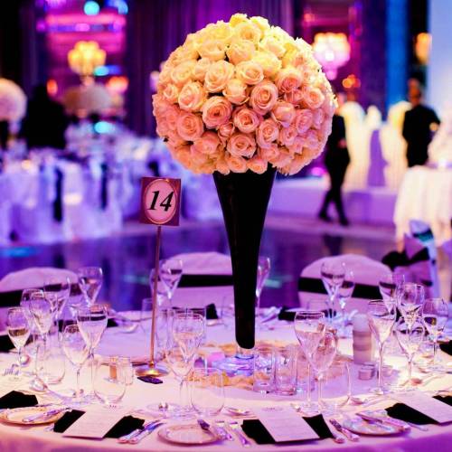 Sticea Event 