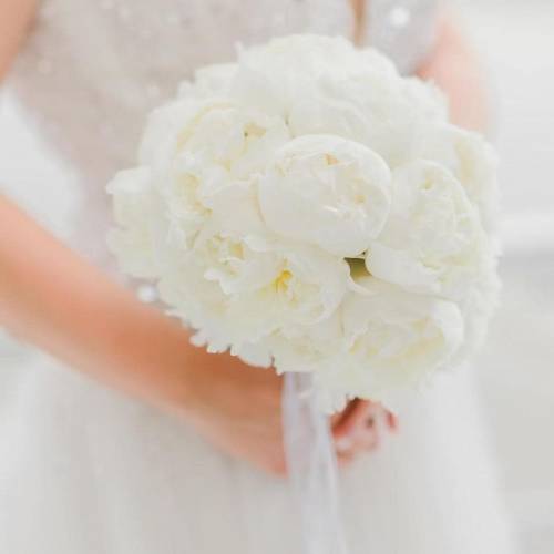 Carolyne Flower Shop 