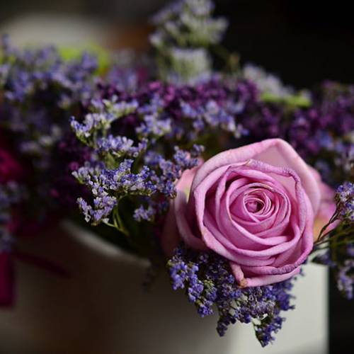 Floraria ”La Sorin”