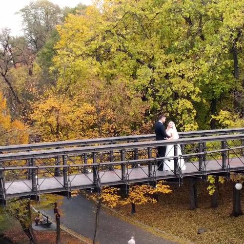 The Artisans - Wedding Videography