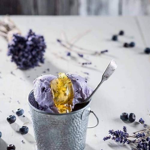 LAlbero dei Sogni Gelateria Moleculara 