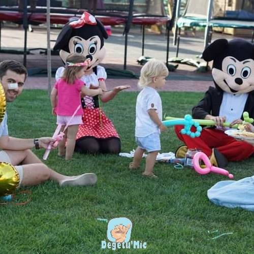 Degetu Mic 