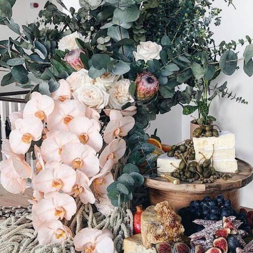 Mise en Place