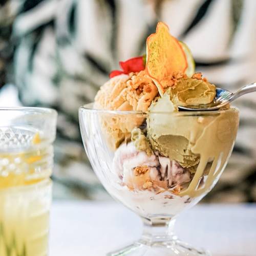 Friddi Gelato