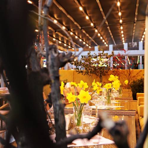 Restaurant Eleven
