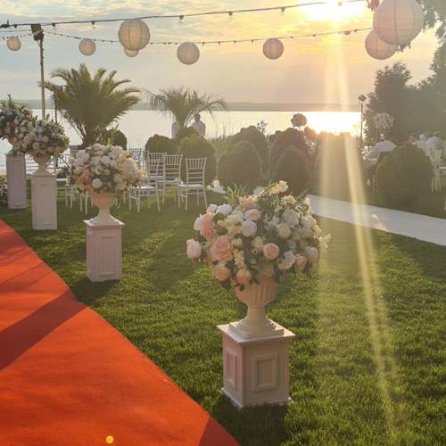 Events by Imago
