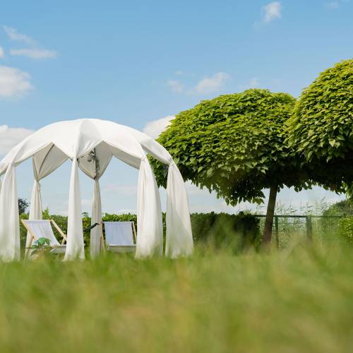 Astreea Igloo Rentals