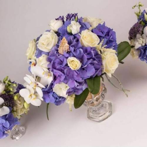 Velvet Flower Shop