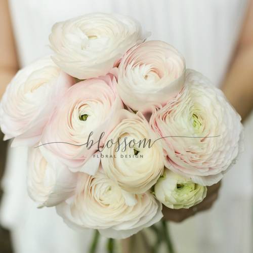Blossom - Floral Design