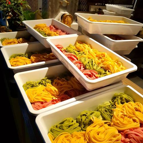 Gattini Pasta