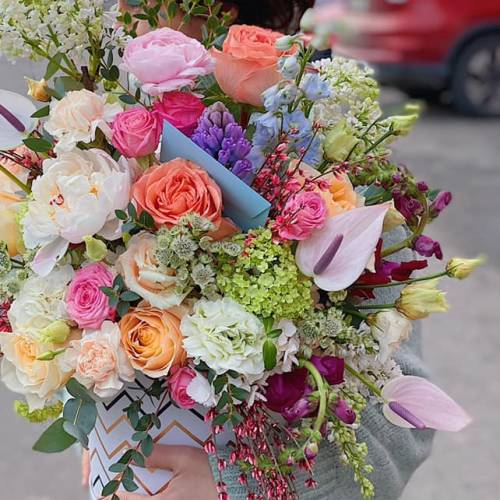 IMOD Flowers