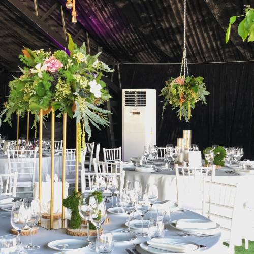 IMOD Flowers