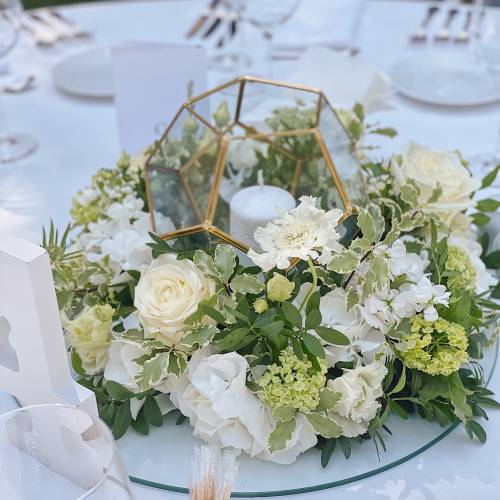 IMOD Flowers