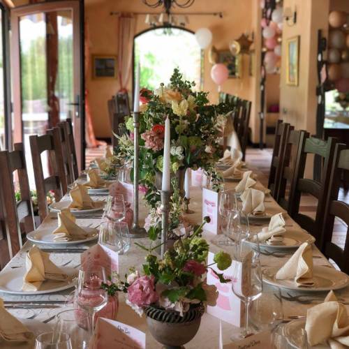 IMOD Flowers