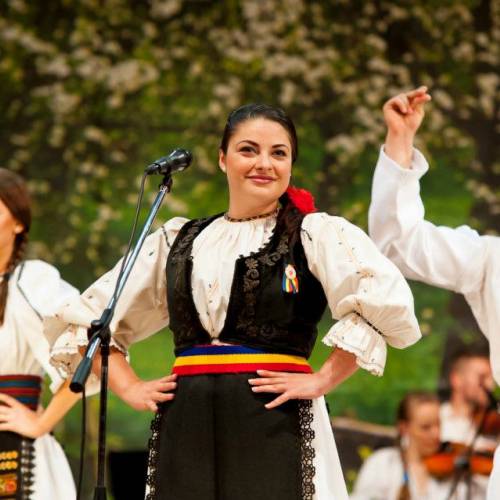 Formația CREATIS
