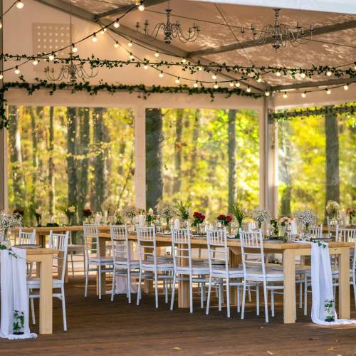 Boho Forest