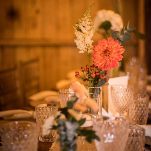Les Fleurs Sauvages 