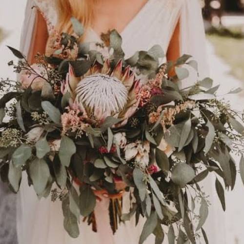 Les Fleurs Sauvages 