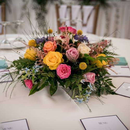Aniela Events