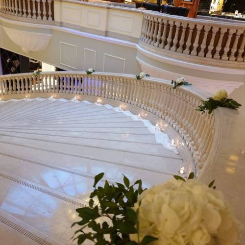 Aniela Events