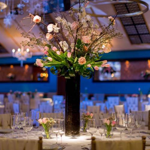 Tapo Events