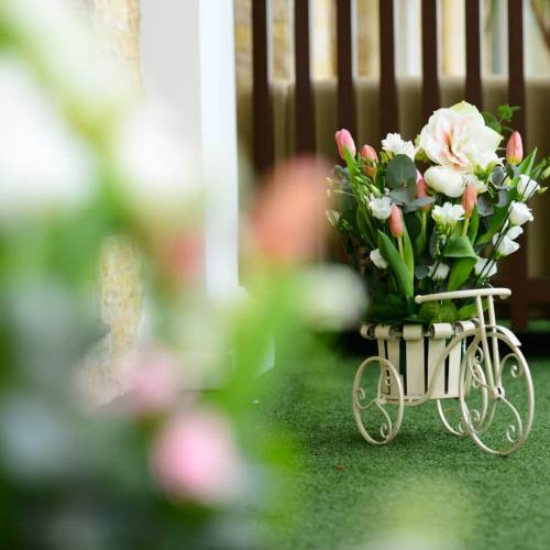 Agentia Wedding Planner