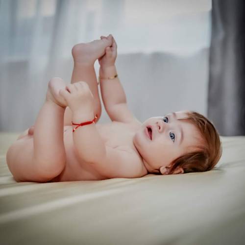 Photographerionelia 