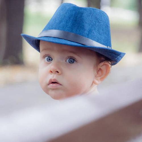 Photographerionelia 