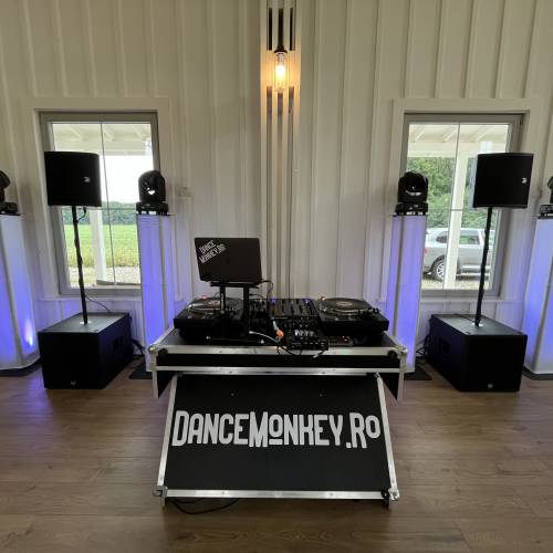Dance Monkey