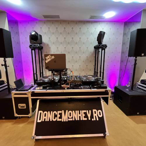 Dance Monkey