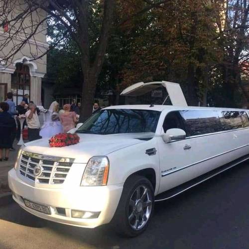 Travel IN Luxury & Transport pentru Evenimente private