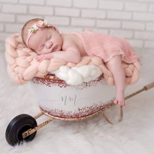 Nadine Micle Photography