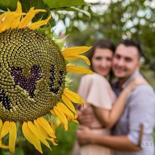 Iosif Miclaus Fotograf 