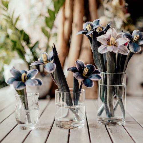 ARIAN GLASS DESIGN