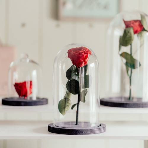 ARIAN GLASS DESIGN