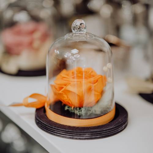ARIAN GLASS DESIGN