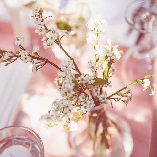 Spot Flowers