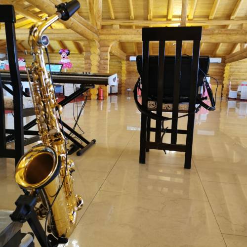 Salon de evenimente Brândușa