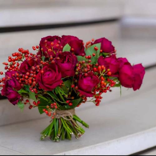 Coral Bloom Flowers