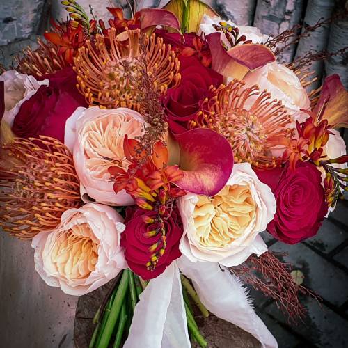 Coral Bloom Flowers
