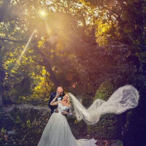 Vladimir Constantinescu Fotograf
